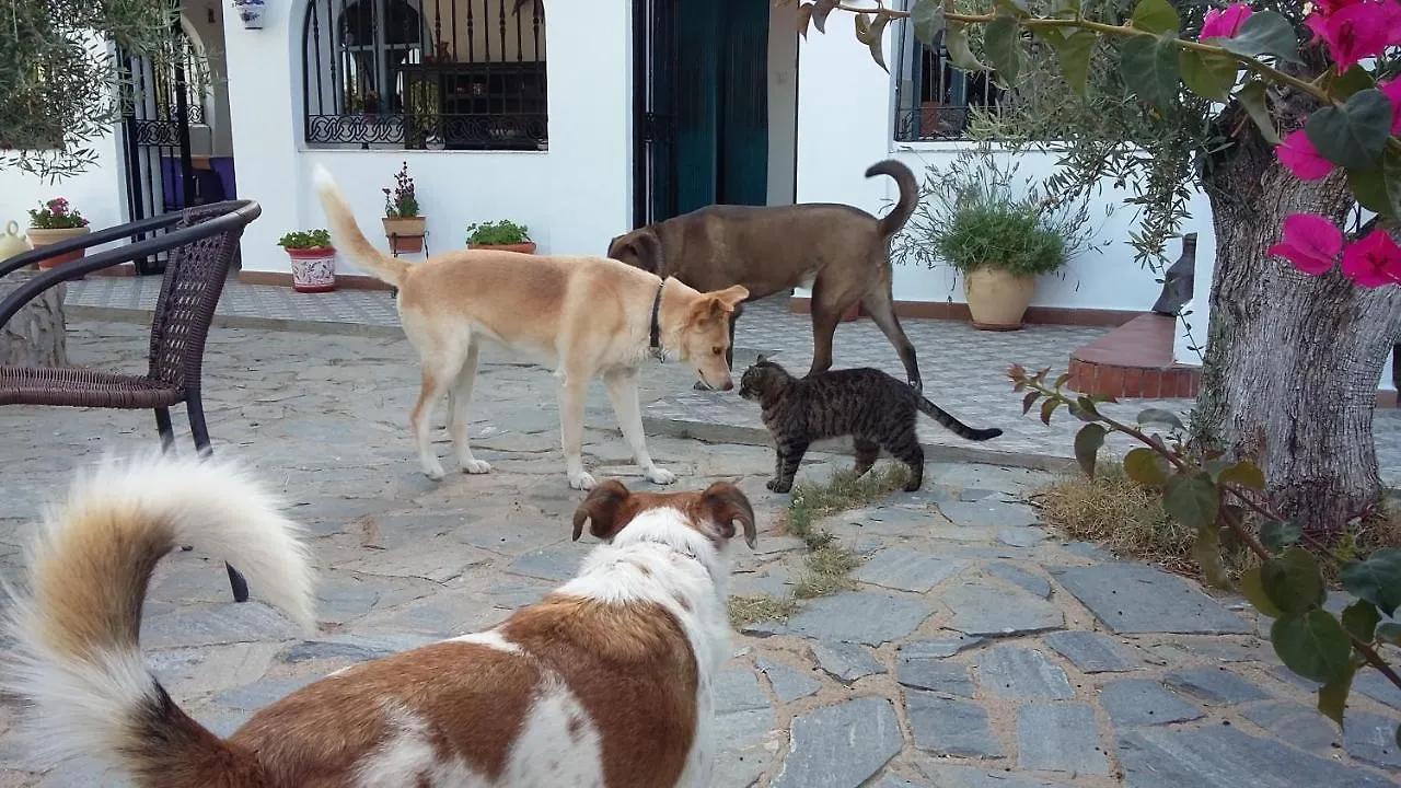 Bed & Breakfast Alegria Y Luna Bed and Breakfast Sorbas
