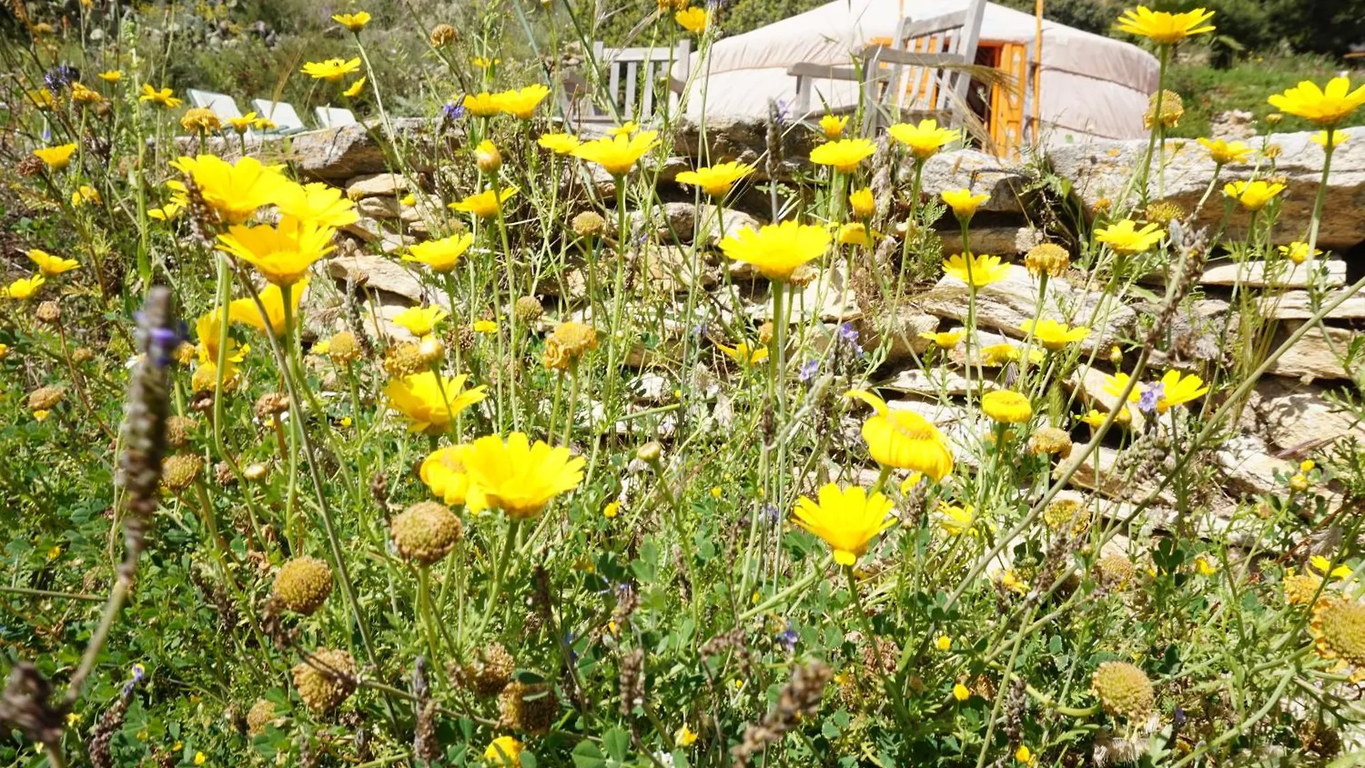 Bed and breakfast B&B Eco-Casa Alegria y Luna Sorbas España