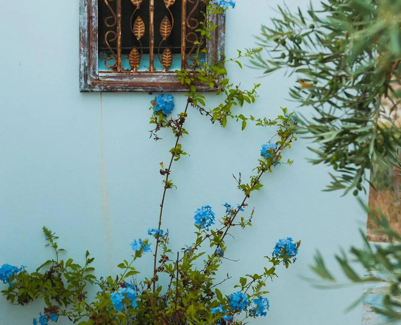B&B Eco-Casa Alegria y Luna Sorbas España